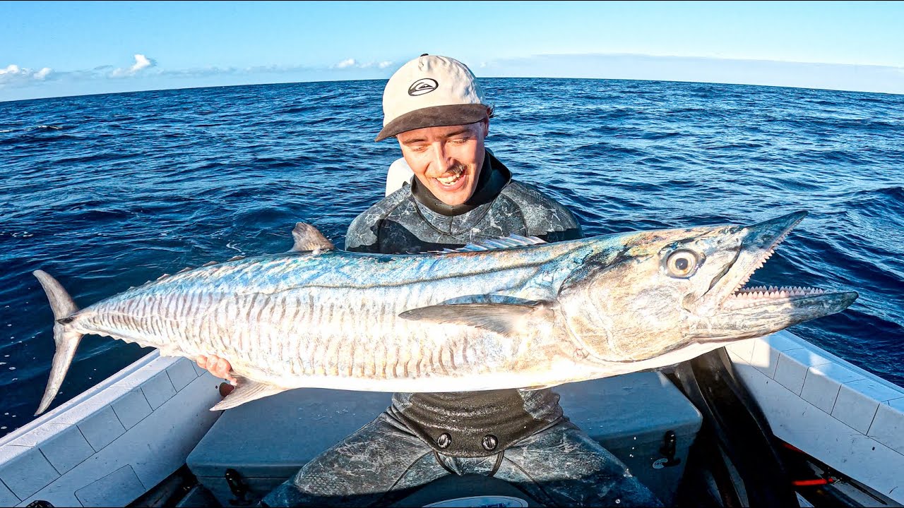 Hunting GIANT MACKEREL Catch n Cook - New Boat Life Begins