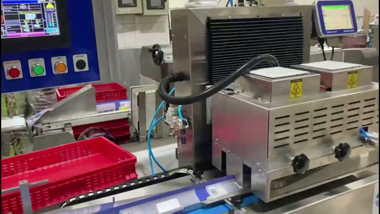 DP 250 Ters Otomatik Yatay Paketleme Makinası / DP 250 Reverse Automatic Horizontal Packing Machine