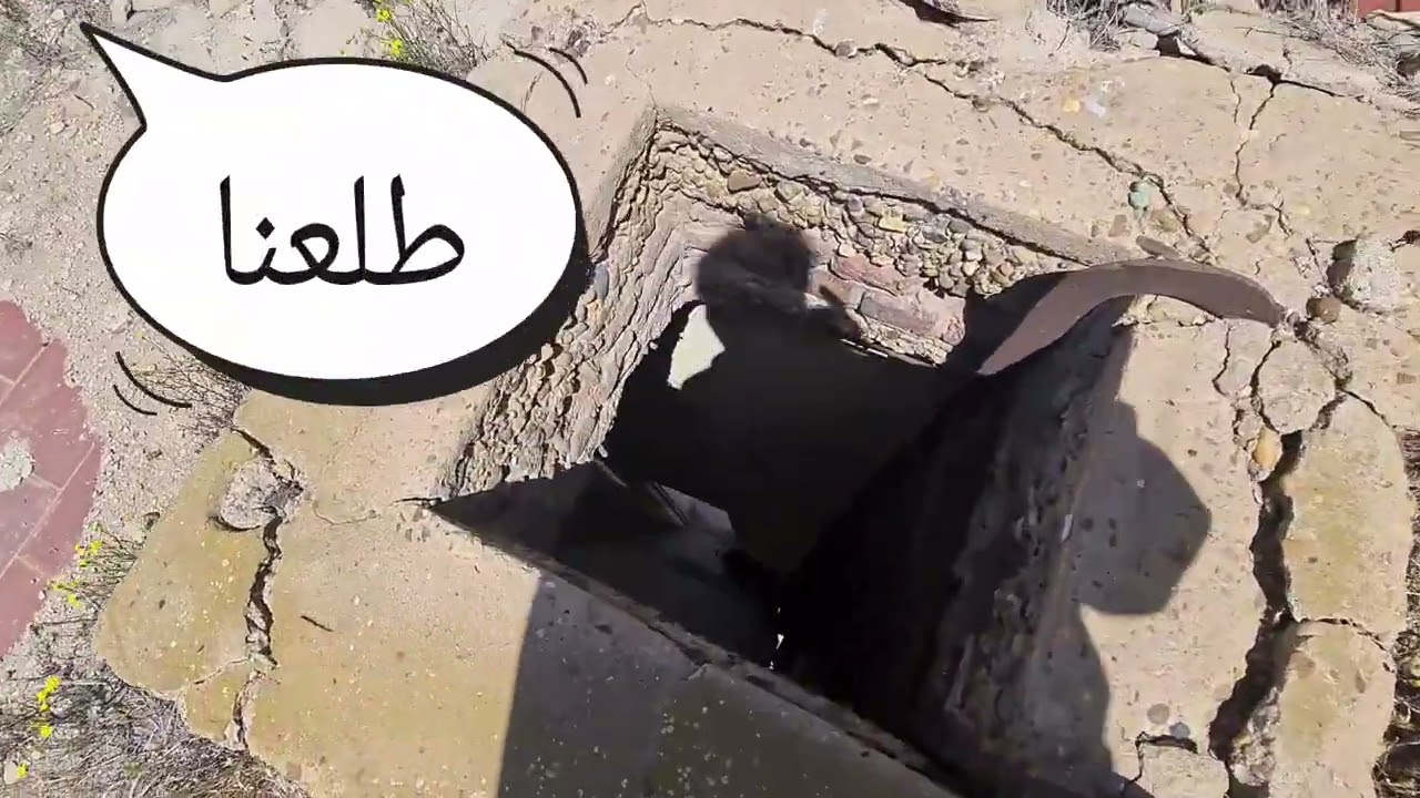 (توكتوك) (الملك) و (القصر) الراقد علي المياه الجوفية في (كفر الشيخ) ، مش حاتقدر تغمض عينيك