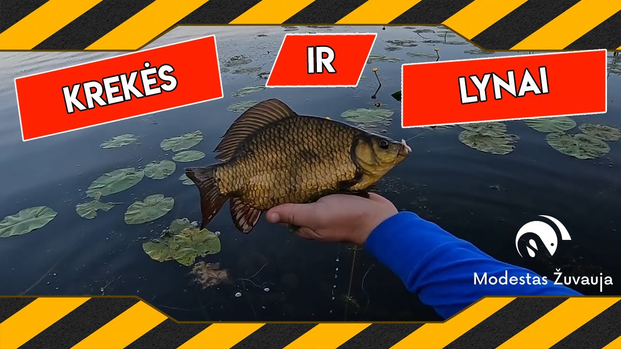 Krekių ir lynų žūklė