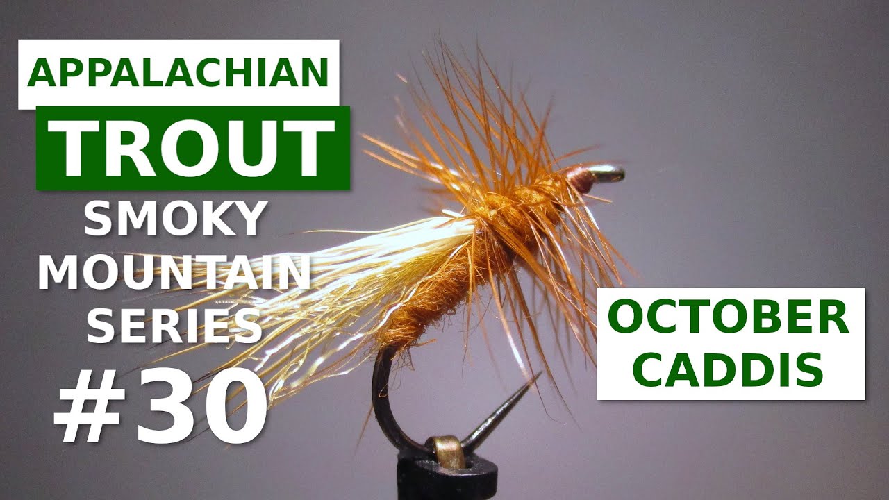 October Caddis - Fly Tying Appalachian/Great Smoky Mountain Trout Patterns