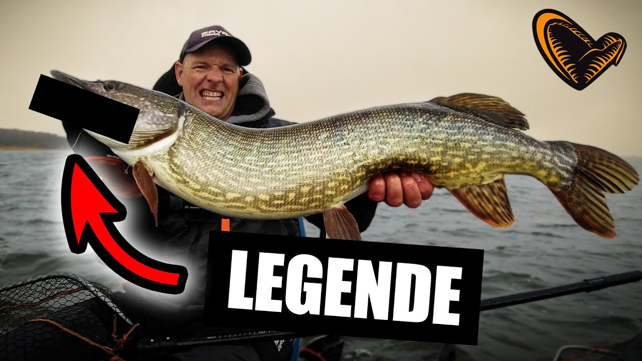 Die Savage Gear LEGENDE ist jetzt noch besser ‼️ Cannibal Shad 🔥