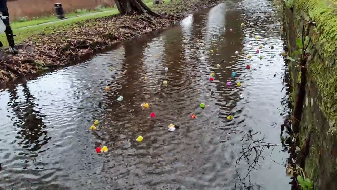 Quacky Races 2025   Race 2