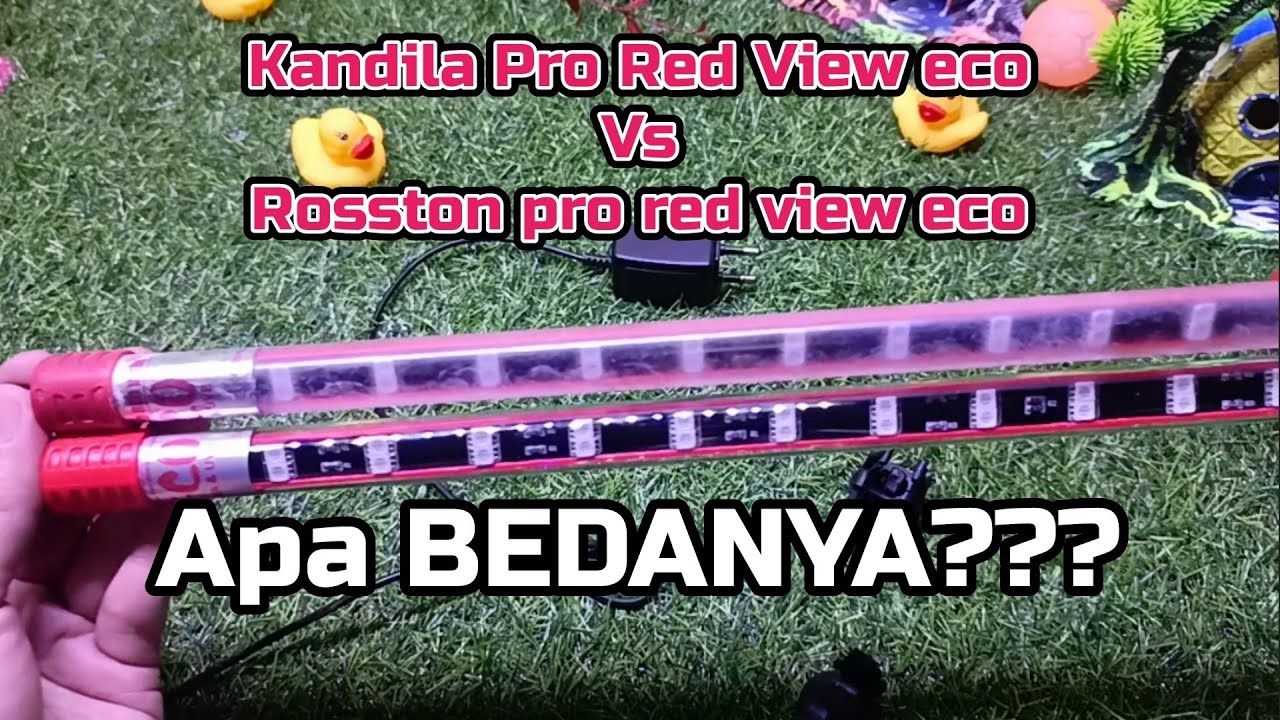 KEMBAR BEDA BAPAK, Lampu LED Kandila PRO RED VIEW ECO VS Rosston PRO RED VIEW ECO
