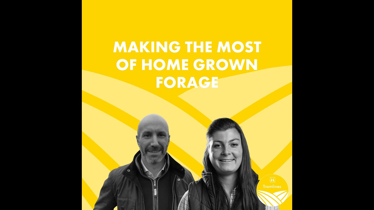 Making the Most of Home Grown Forage