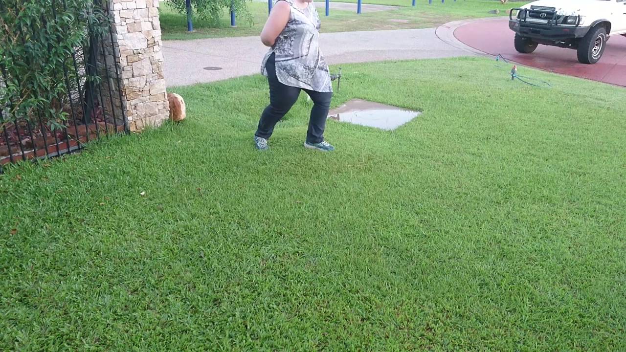 Lawn bubble(1)