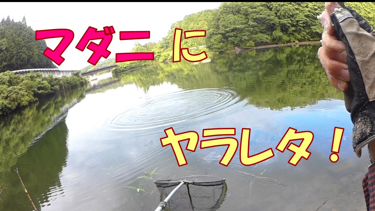 釣場の草刈りをしてマダニに噛まれるバカなヘラ師［上津ダム編１０］