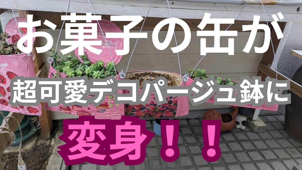 【vlog306多肉植物】2026、2お菓子の缶がデコパージュ鉢に変身ー！！！