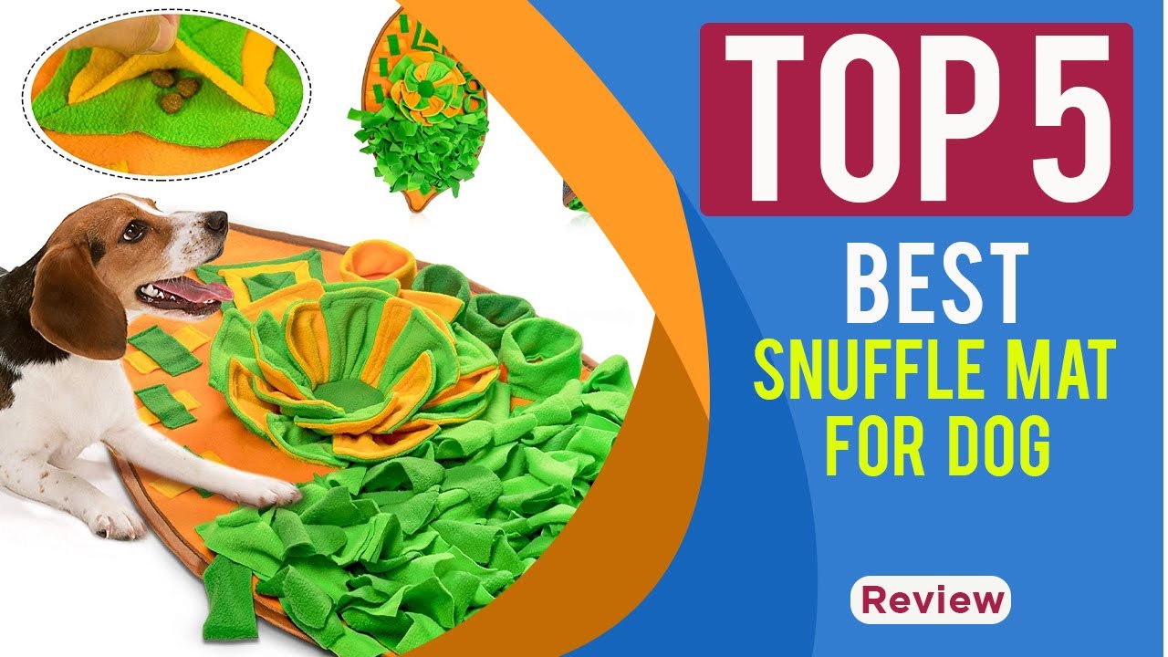 The 5 Best Snuffle Mat for Dog Reviews in 2025