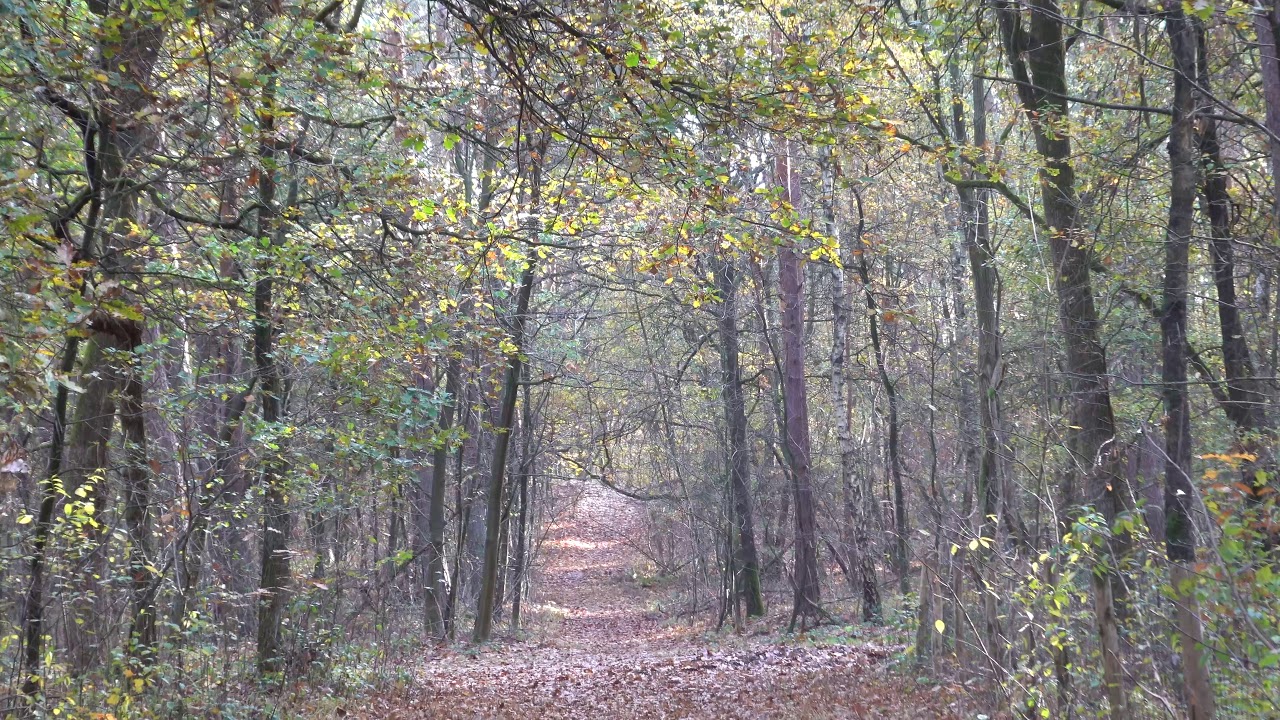 Kikmolenwandeling Opgrimbie Maasmechelen