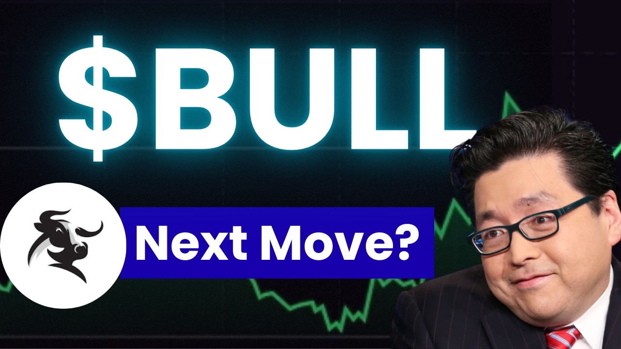 BULL Stock Tuesday Update Webull Corporation Stock Analysis & Price Prediction BULL Stock News Today