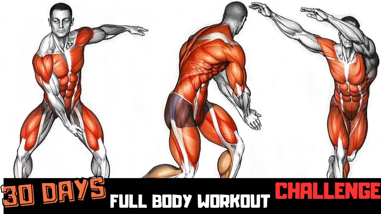 Best Full Body Workout at Gym | Fit Motion