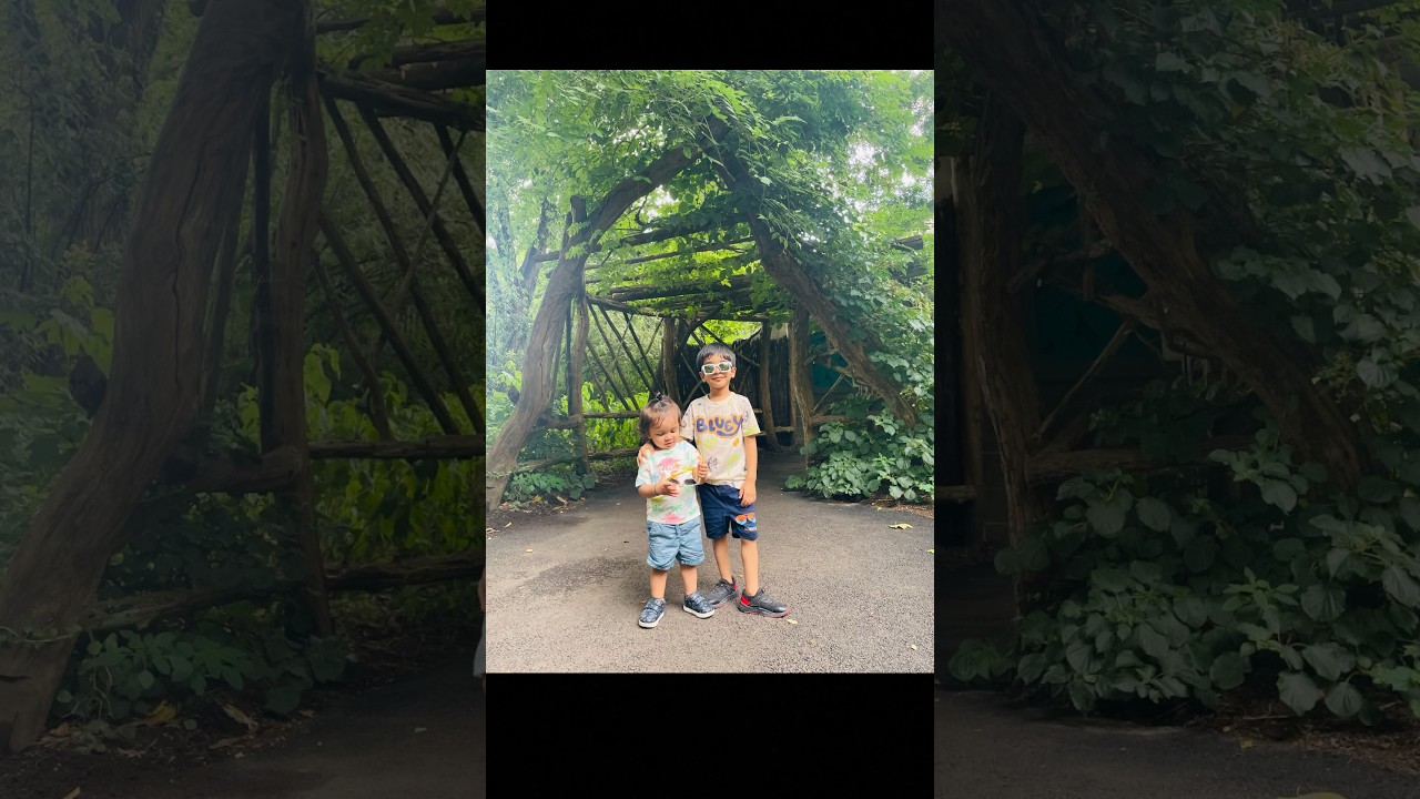 A day at zoo🦍🦁🐅 