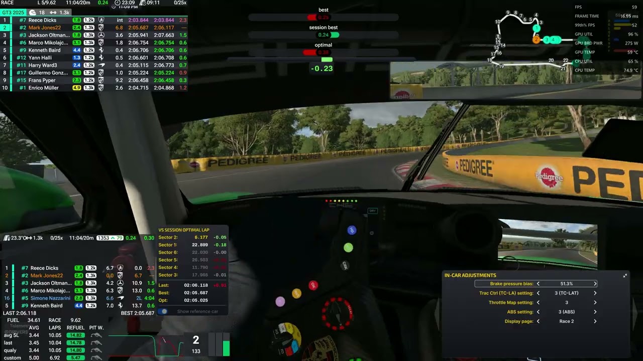 Iracing Porsche GT3 R  P2 Bathurst