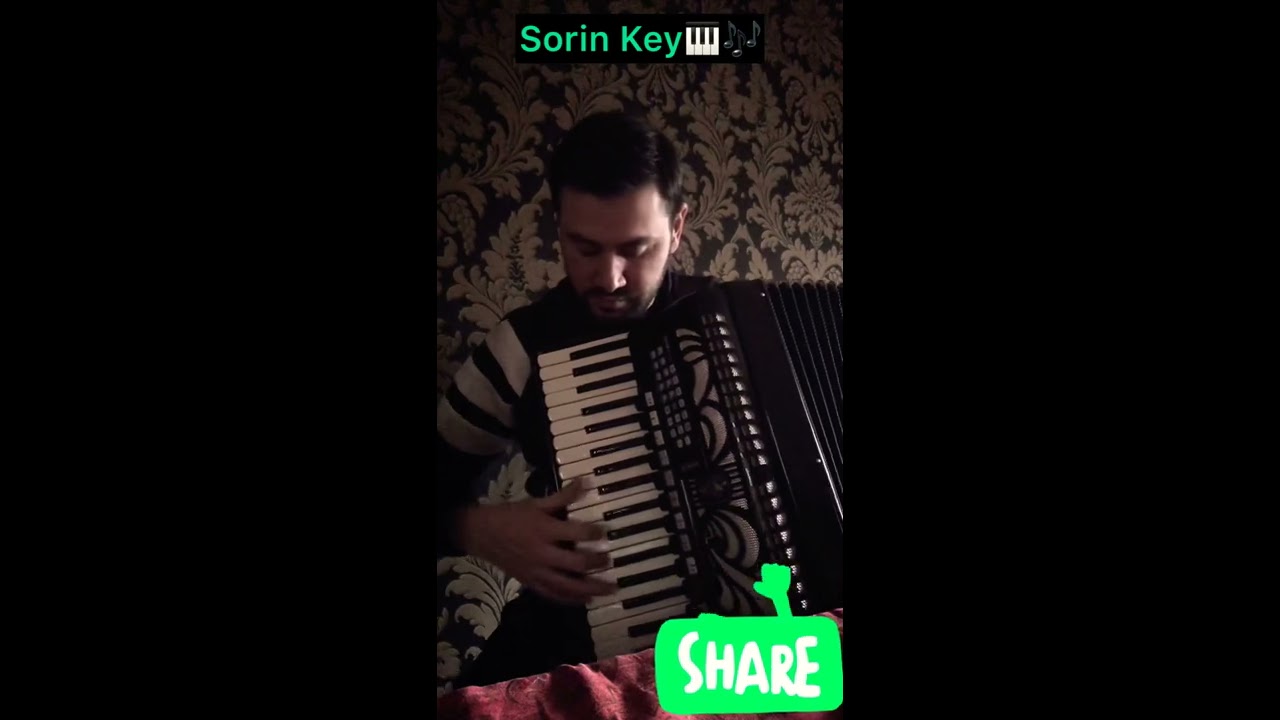 HORA OLTENEASCA ACORDEON SORIN KEY
