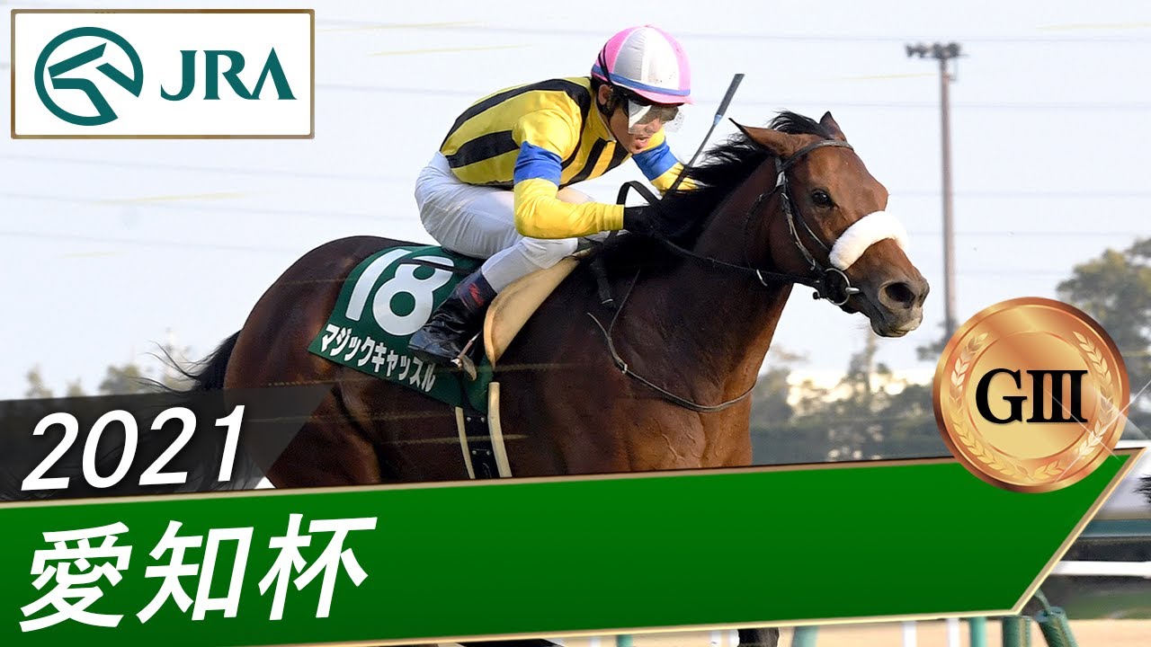 2021年 愛知杯（GⅢ） | マジックキャッスル | JRA公式