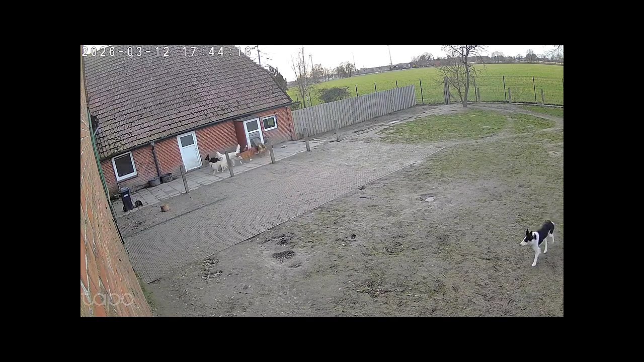 Hundeschule Wolf und Co am 12.März.2026 #hundepension #hundeschule #hundefutter