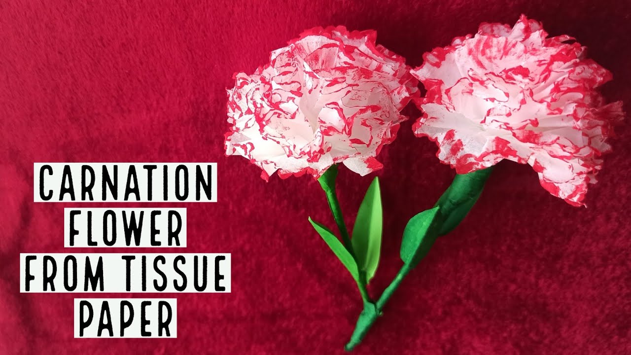 Tissue Paper Flower Carnation DIY  | How To Make A Carnation Flower From Tissue Paper