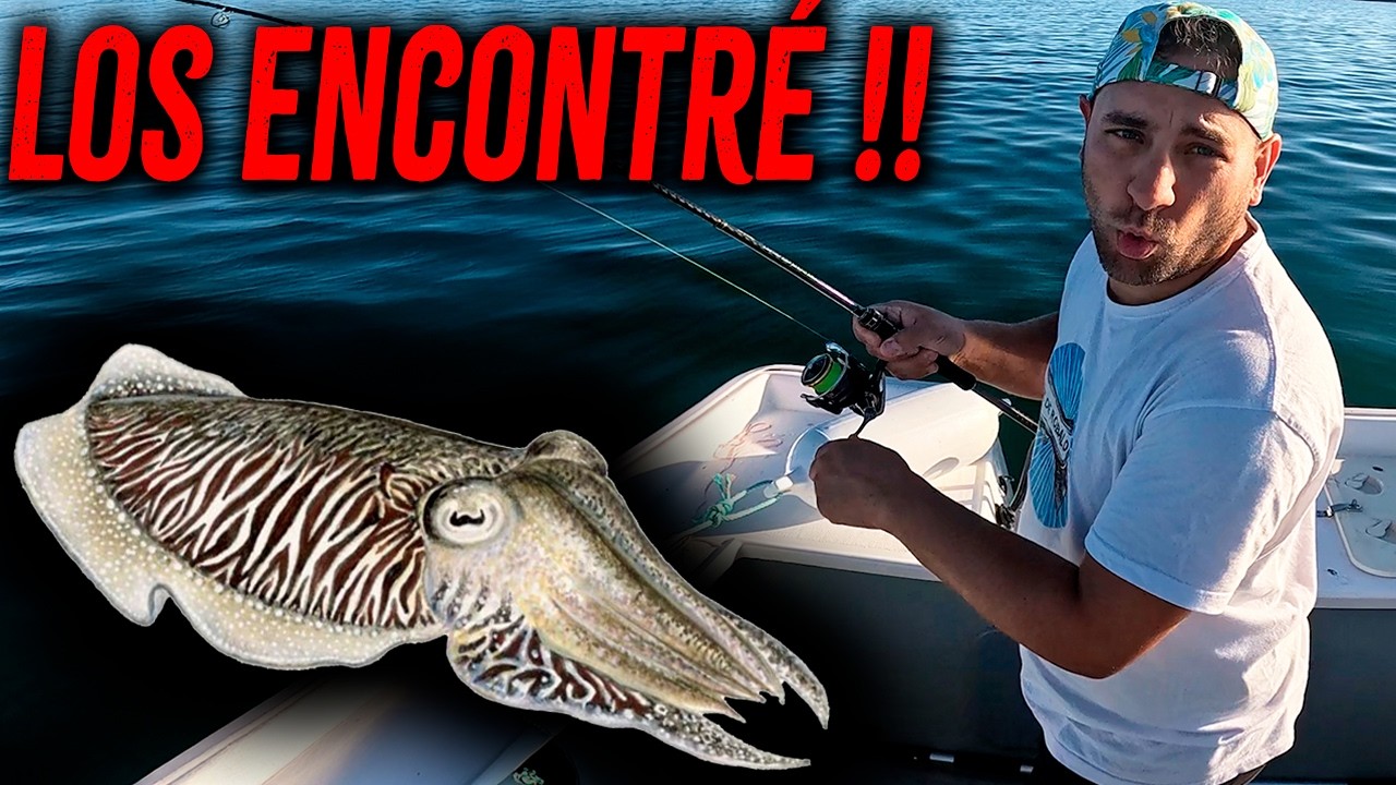 Tenían hambre los Calamares y Sepias. Varias capturas pescando a Egging desde Embarcación