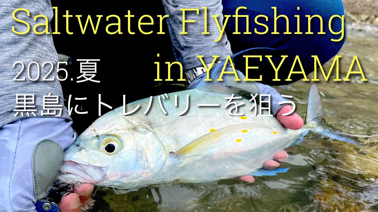 フライフィッシング　八重山諸島黒島でトレバリーを狙う