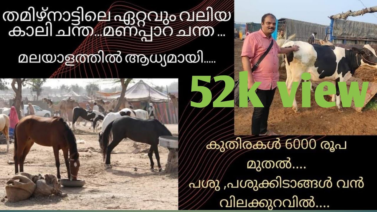 മണപ്പാറ ചന്ത...Mannappara Chantha