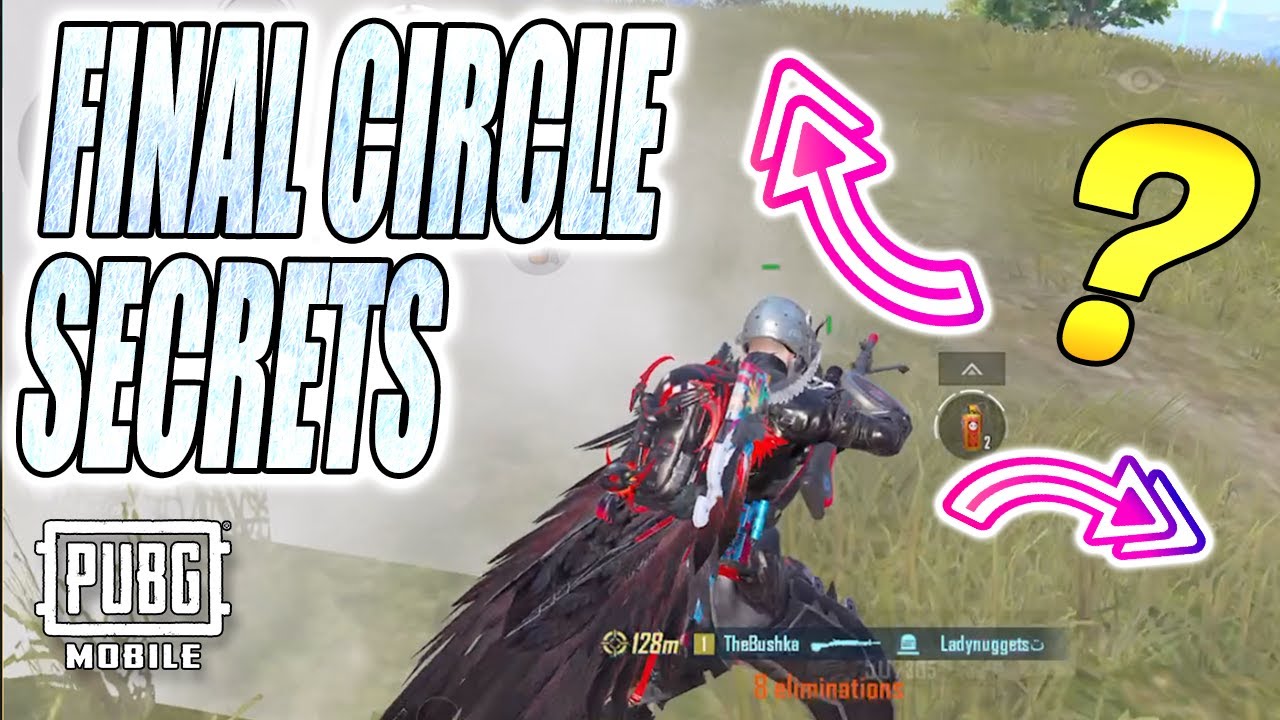 FINAL CIRCLE CHESS MATCH ANALYSIS FOR PUBG MOBILE