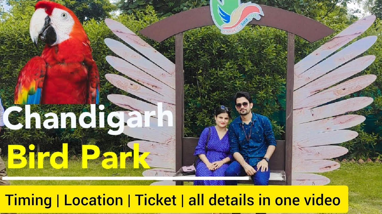 Bird Park Chandigarh | Chandigarh famous tourist places- Near Sukhna Lake #chandigarh #tourist #vlog