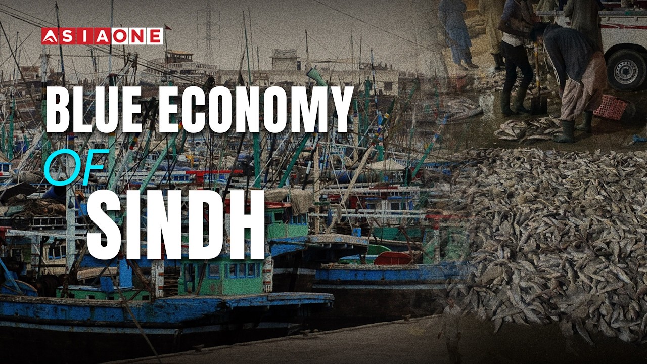 Sindh’s Sea Wealth: Exploring the Blue Economy | Full Documentary | Asia One News
