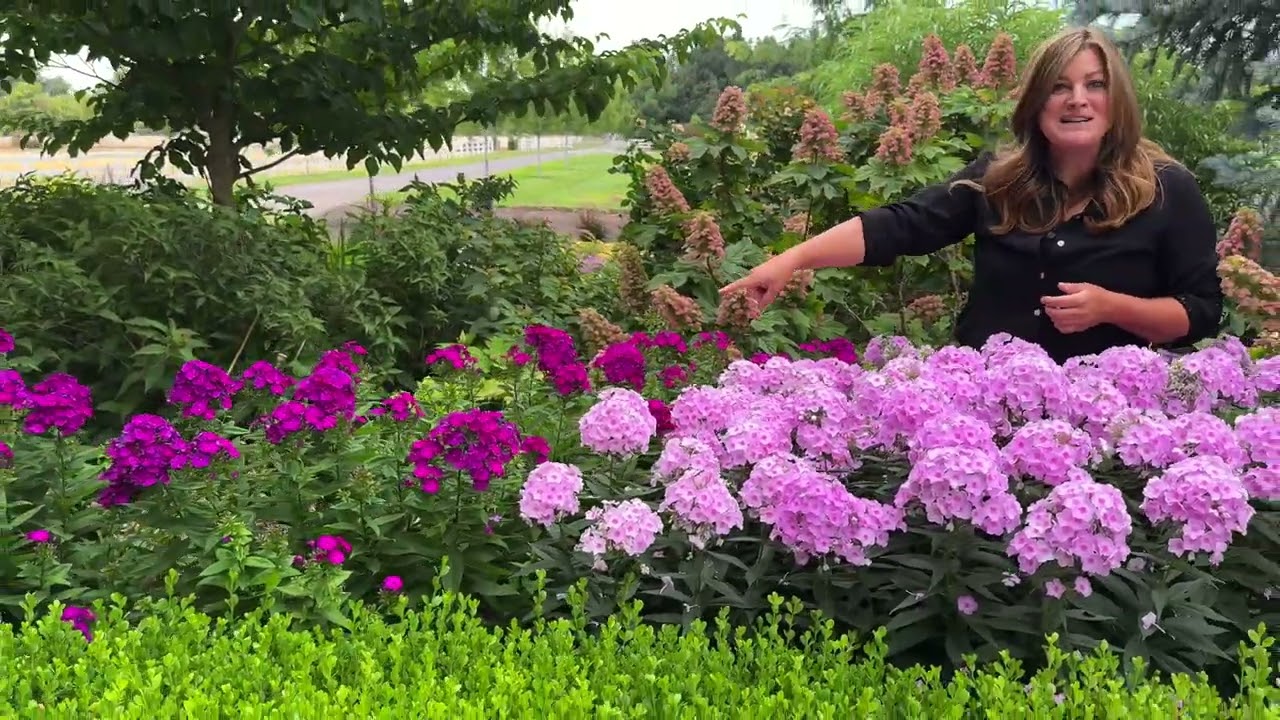 3 Summer Plants That Can Take The Heat