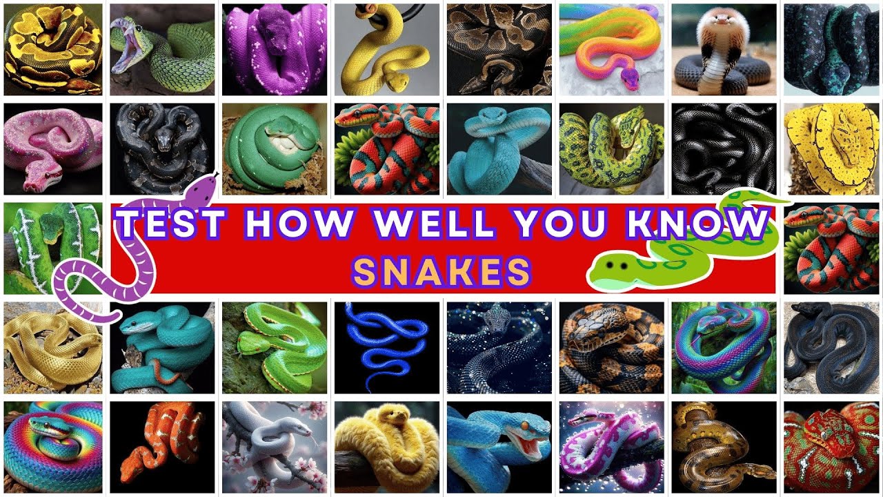 🐍🧠