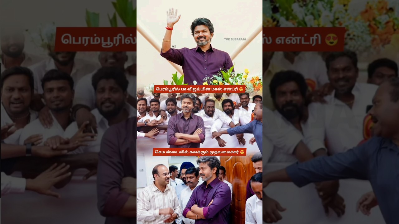 CM Vijay's Grand Entry in Perambur | MLA Office Inauguration, Smart Ration Cards & Public Welcome...