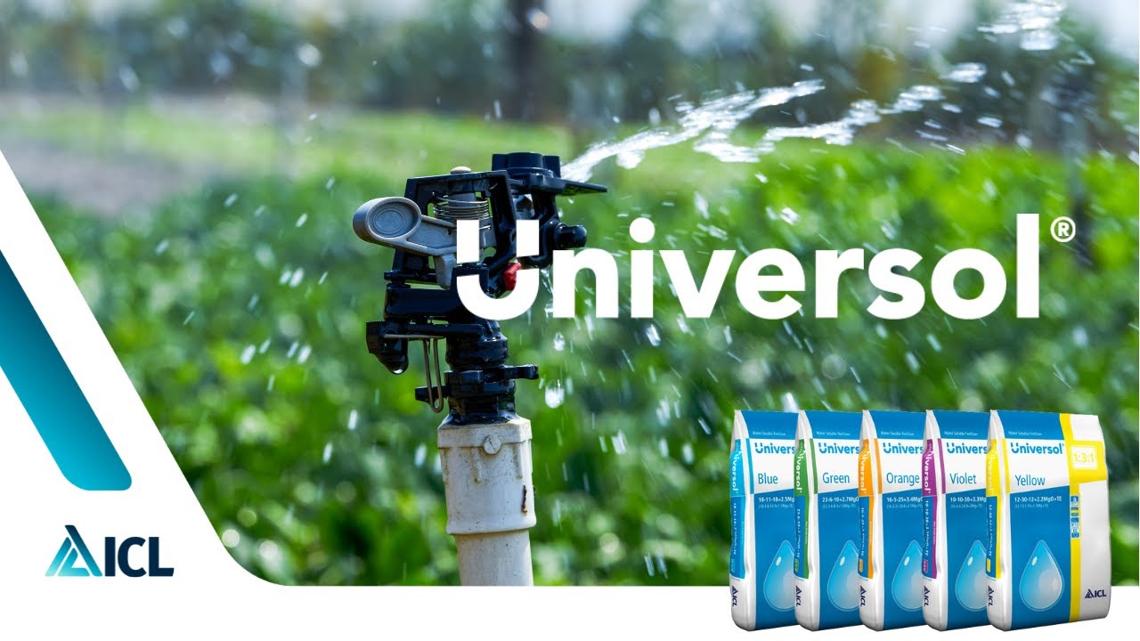 Universol | Water Soluble Fertiliser | ICL Ornamental Horticulture