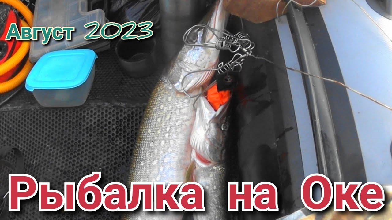 Рыбалка на оке в августе 2023, Я нашёл тот воблер который реально ловит на ОКЕ