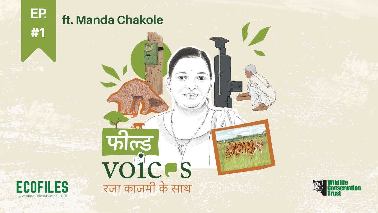 Field Voices Ep. 1: Featuring Manda Chakole