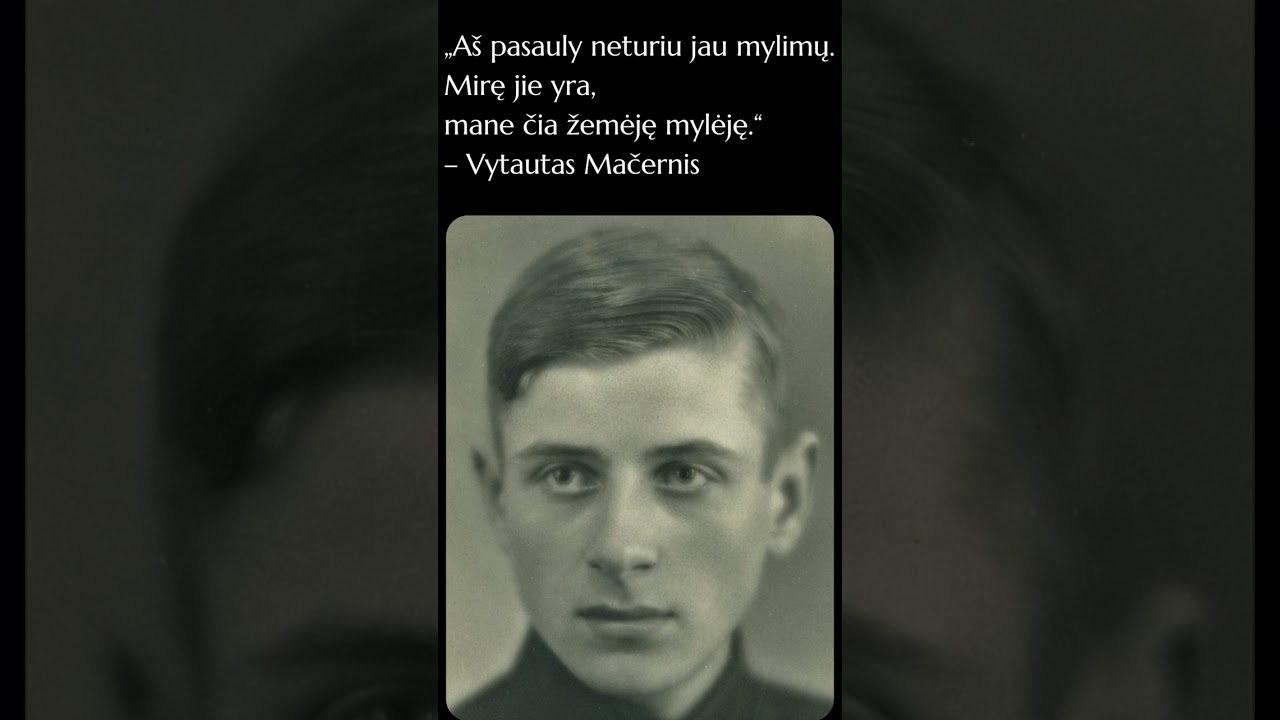 Lietuvos autoriai