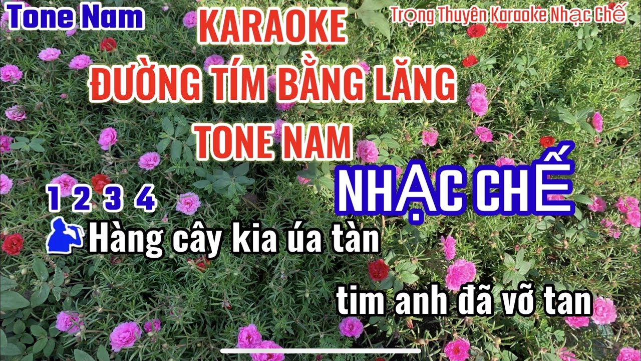 Karaoke Đường Tím Bằng Lăng Nhạc Chế Tone Nam “Nhạc Sống”