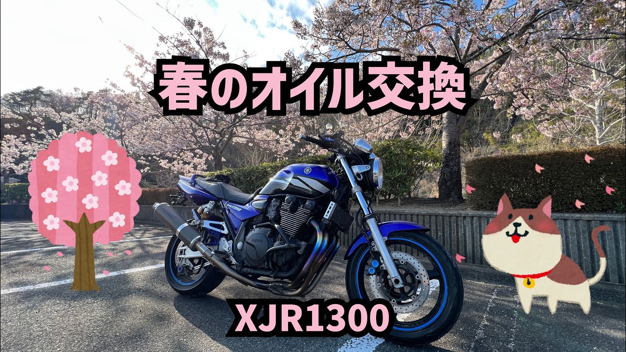 春になったのでオイル交換してみた【XJR1300 RP03J】フィルター交換有り！