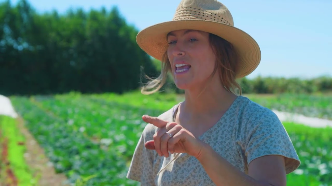 Vegetables in the Skagit Valley with Dear Table Farm I Washington Grown