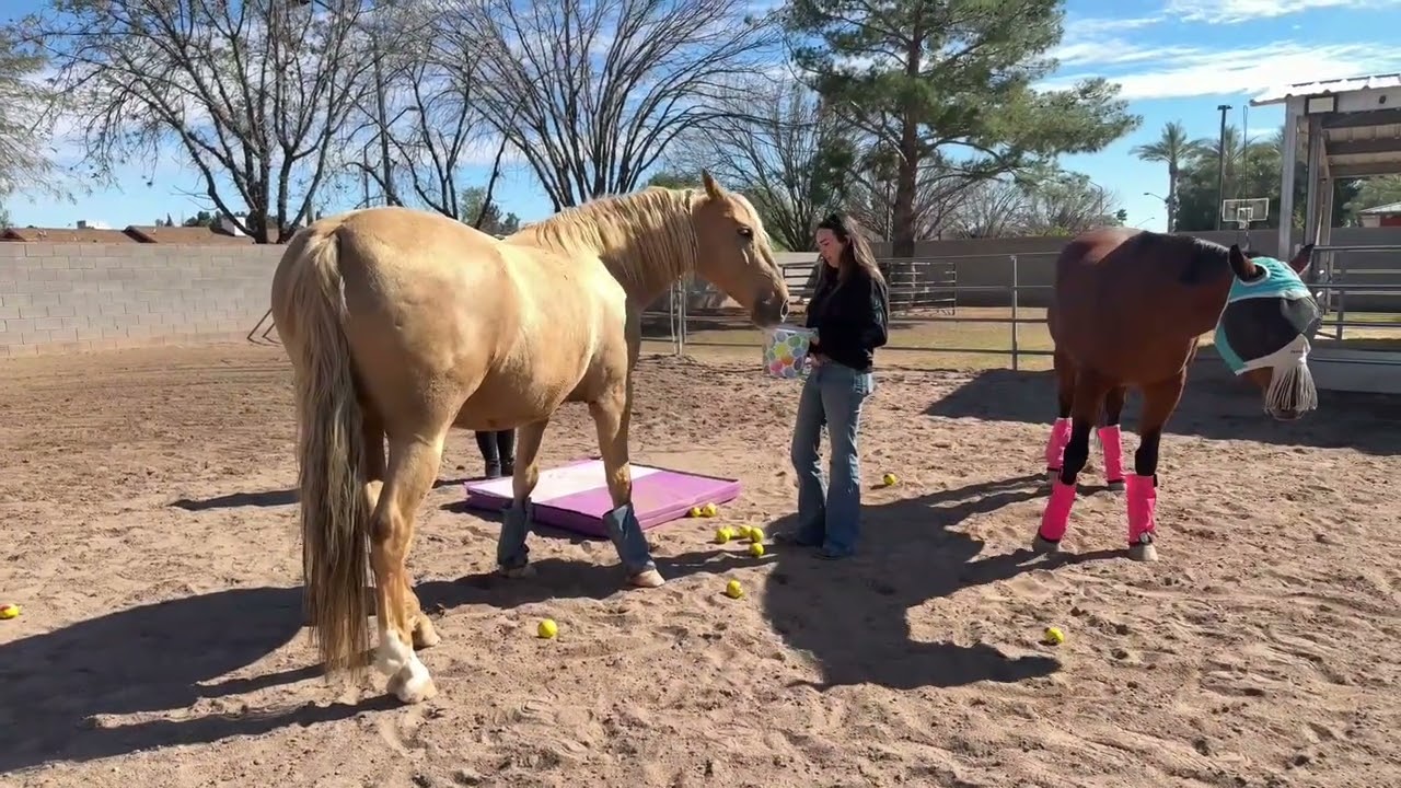 Horse Feelings short demo