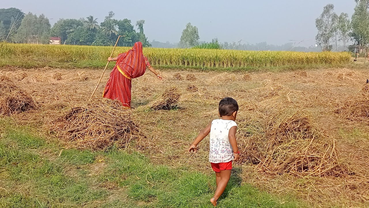 ছেলেকে নিয়ে জমিতে কাজ দেখতে গেলাম।।