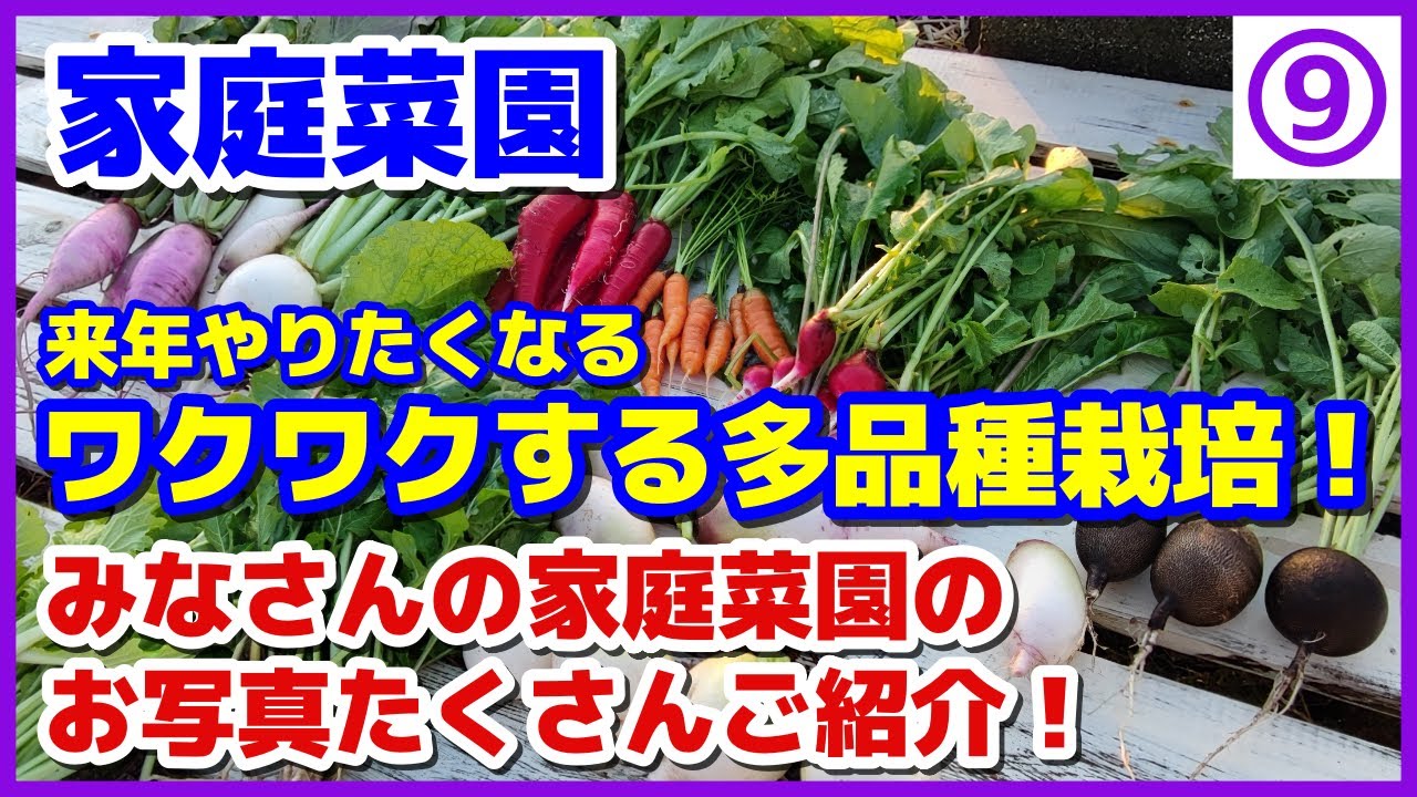 【みなさんの写真】来年絶対やりたくなる！ワクワクする多品種栽培／家庭菜園／vol.9