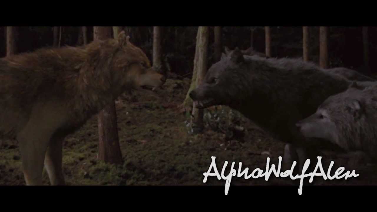 .:Wataha Quileute:. - Breath of Life