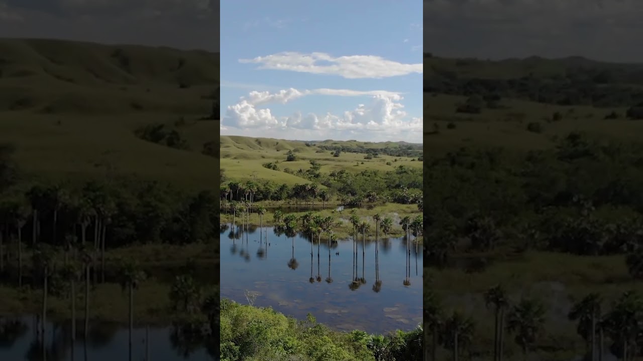 Everything in Meta, Colombia!