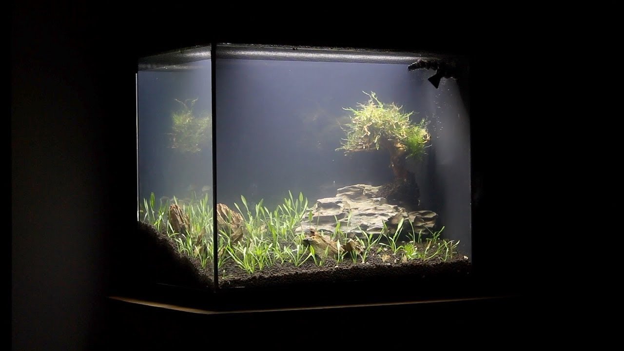 Спецификация ADA Planted, 16 галлонов