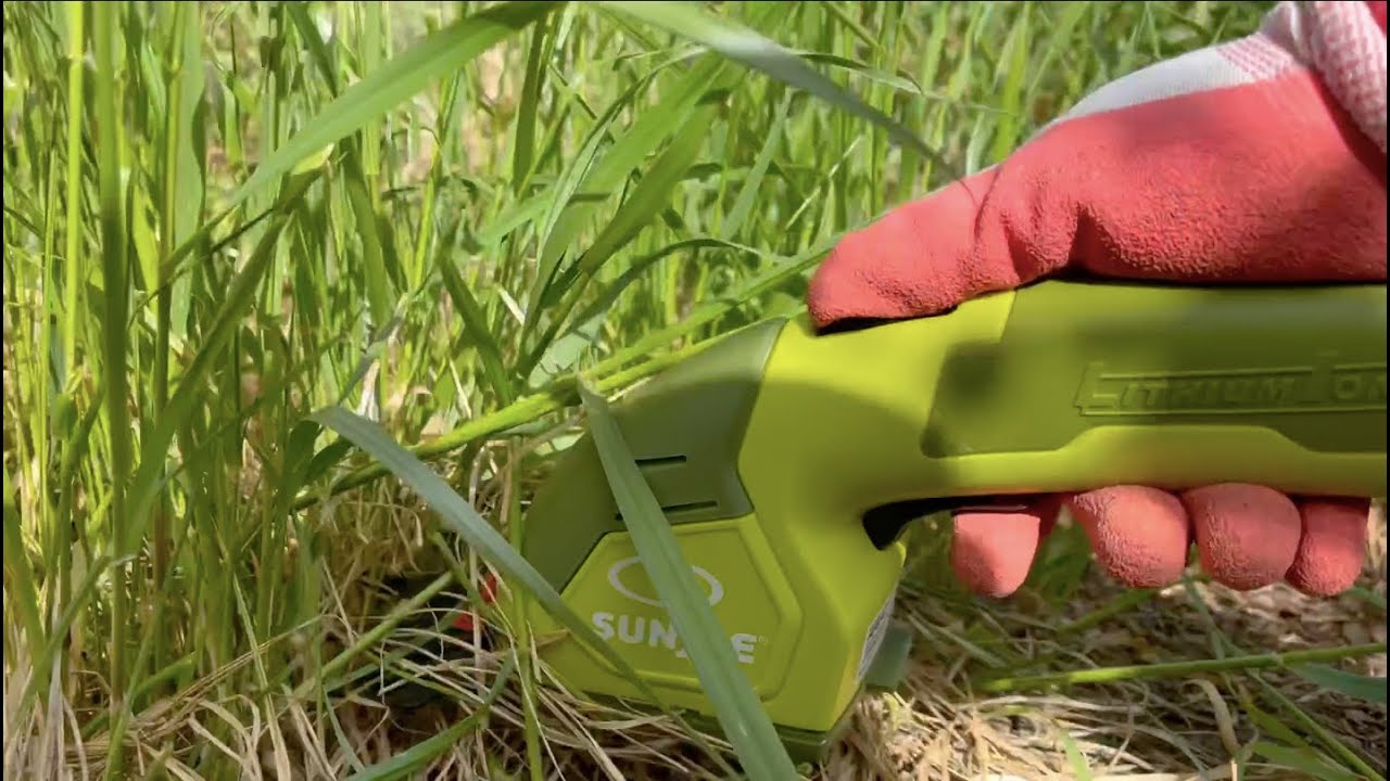 Worth the money? Sun Joe Cordless Grass Shear + Hedge Trimmer - Unboxing - Review [lishare123]