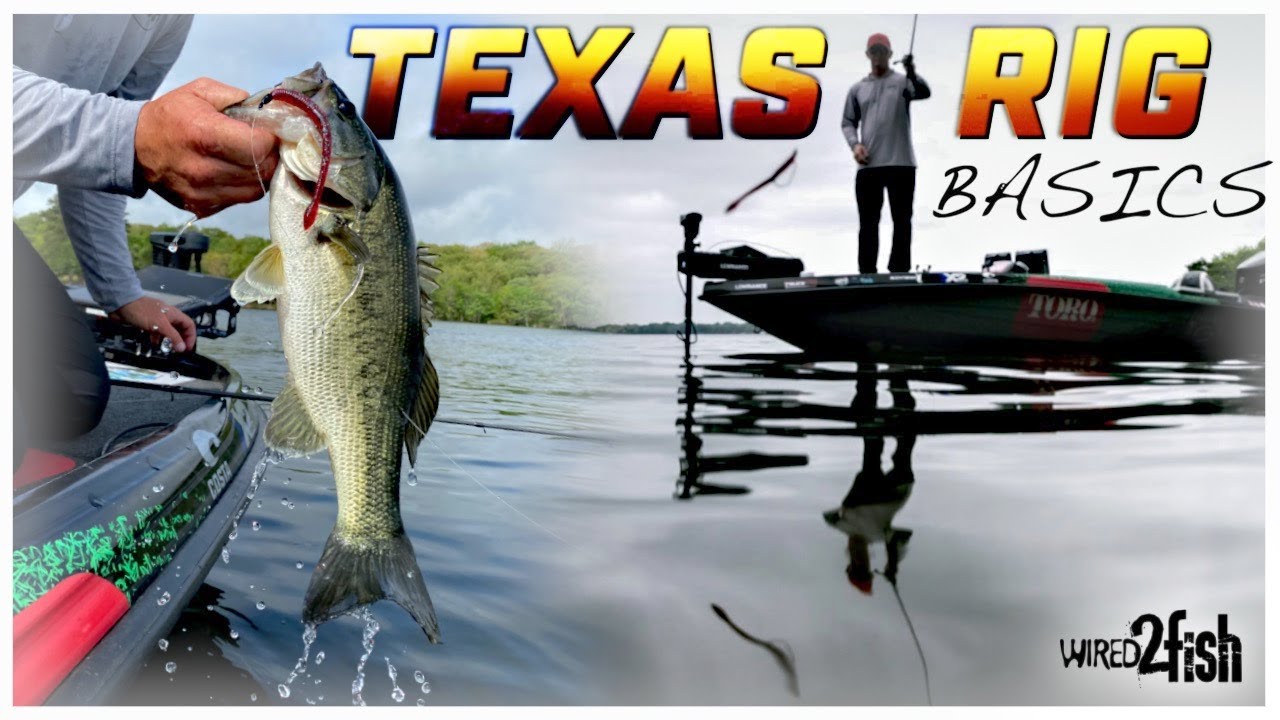 How to Rig and Fish Texas Rig Worms for Bass