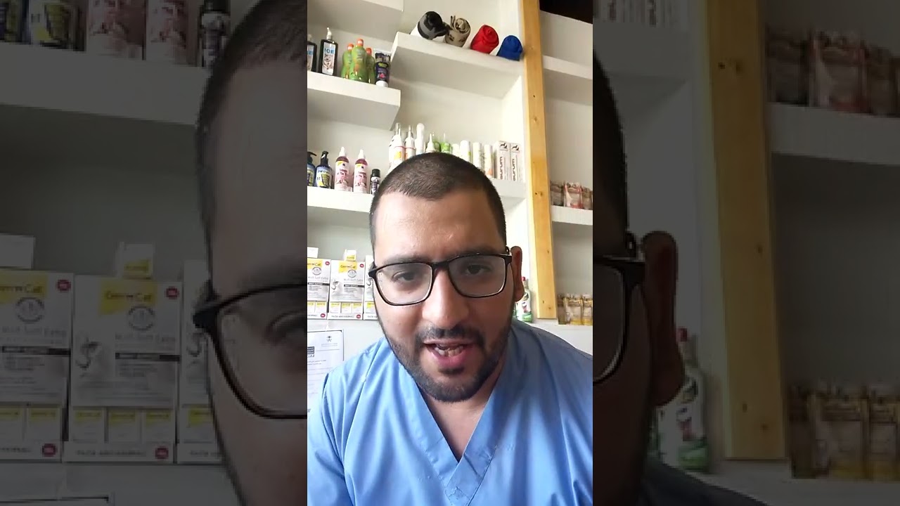 مشكلة الفطريات عند القطط @Samervet