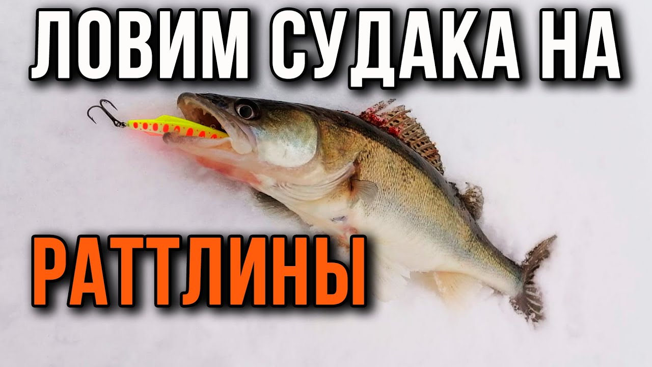 Как поймать судака на ратлины, Финский залив.