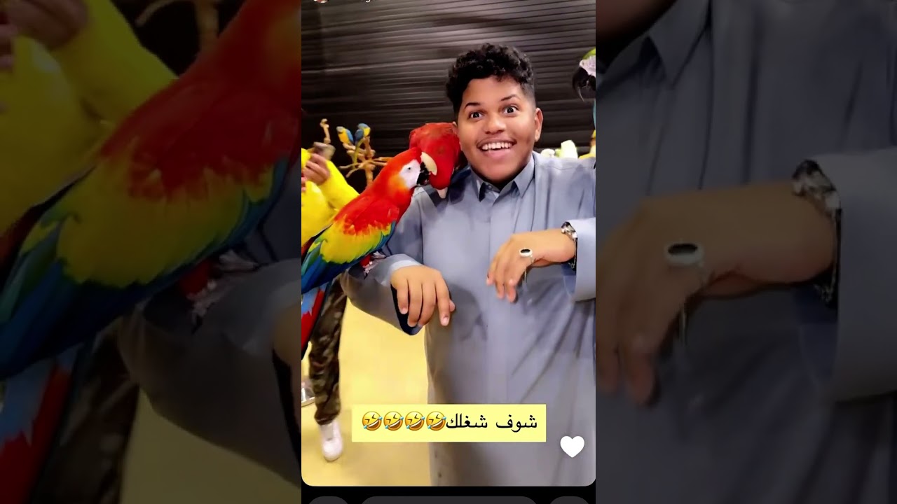 جويد خايف من الثعبان