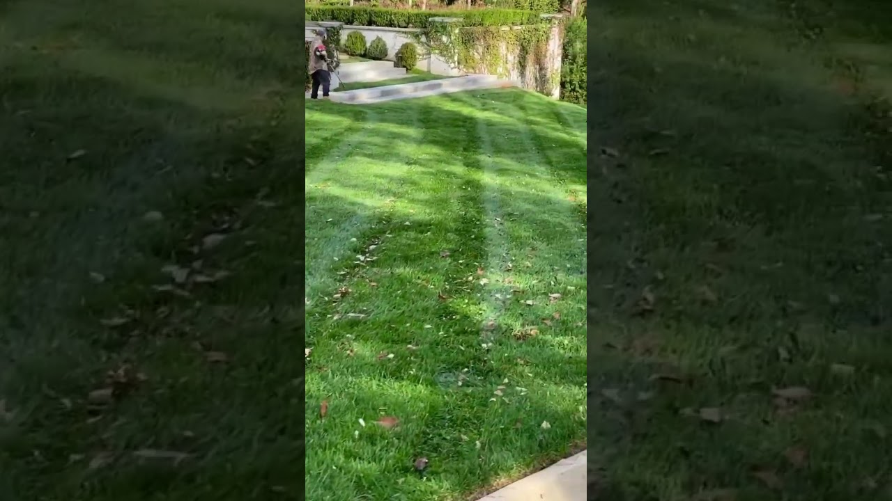 Superior Stripes Lawn Care #lawncare #scagmowers #lawnstripes #moiwngstripes #knoxvilletn #